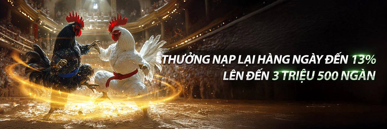Sân Chọi Gà Trực Tuyến betvip